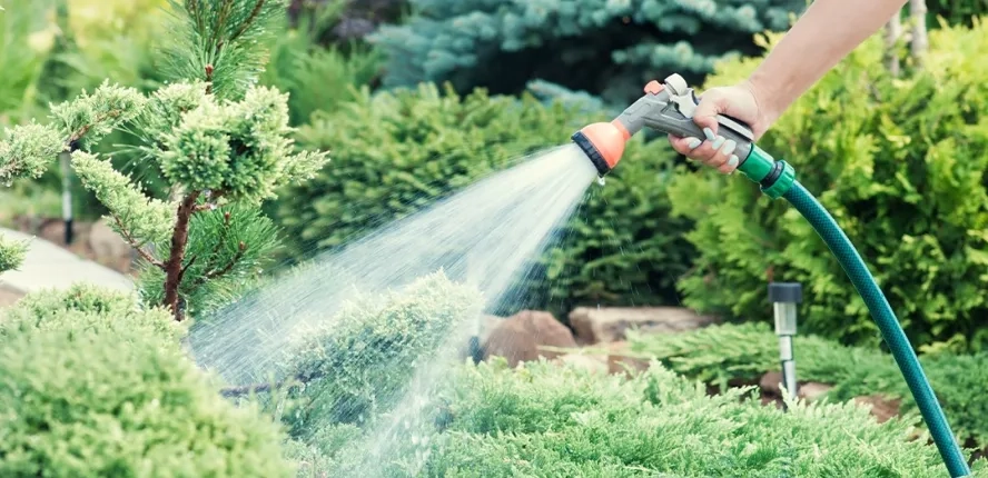 Consejos para ahorrar agua en casa