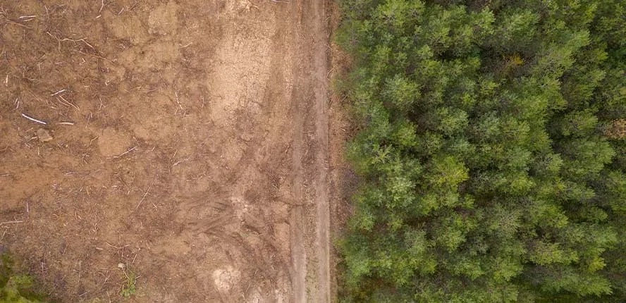 ¿Comprar un terreno en la ciudad o a las afueras?