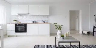 Elementos esenciales para tu vivienda unipersonal: sofá, televisión, mesa auxiliar, mueble, biombos y plantas, zona de trabajo y dormitorio. Consejos de Aliseda Inmobiliaria en nuestro blog.