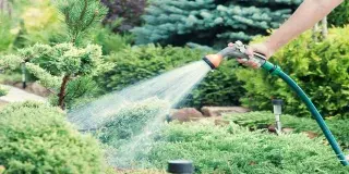 Consejos para ahorrar agua en casa