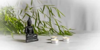 Transforma tu hogar y vida con el Feng Shui: qué es, principios, beneficios y cómo aplicarlo en tu hogar.