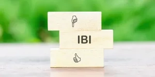 ¿Qué es el IBI y cómo se calcula?