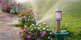 Trucos para ahorrar agua en tu jardín